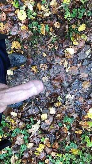 Pissing right on the path