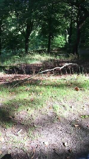 asturbating in the park, people unknowingly walking by. Pms welcome!