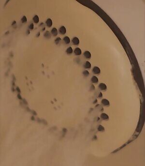 Erin R. Ryan- Babysitter Massacre