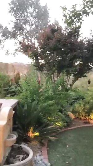 Mia Malkova Teasing You!