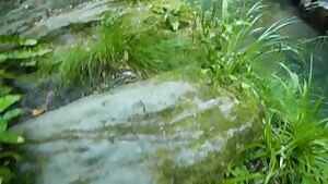 Riskly Threesome Sex Outdoors