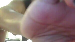 D.Rod --->https://direct-link.net/86464/drod