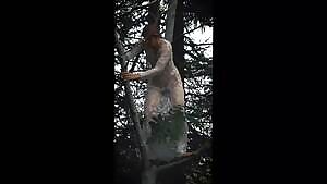 In between shots, it's not always graceful getting out of a tree almost naked