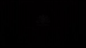 Ariel Awesome Slave 1