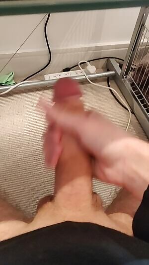 I guess there are some perks of working from home. Even a meeting can't stop me getting off